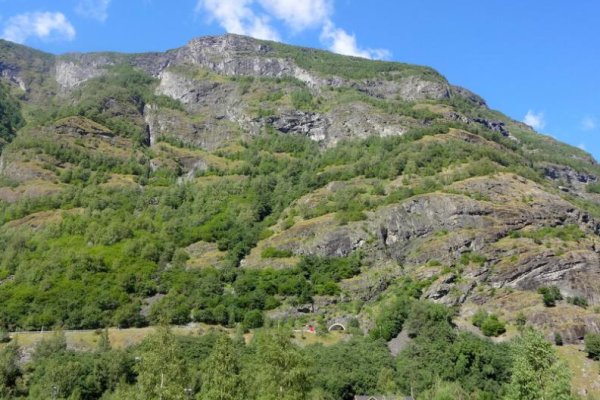 Даркмаркет кракен