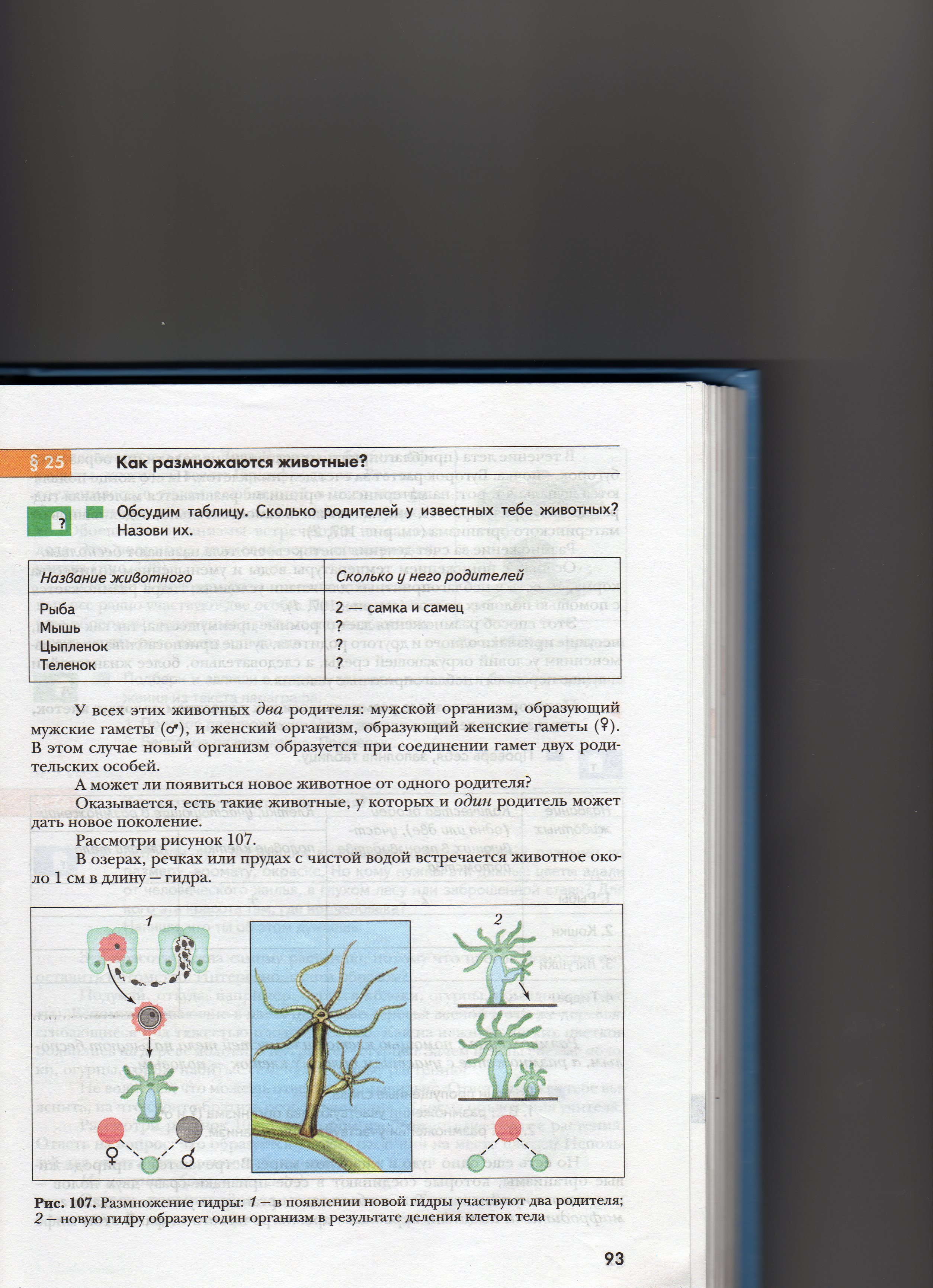 Пользователь не найден кракен даркнет